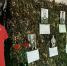 В Адыгейске наградили активистов Народного фронта.. - Город Адыгейск